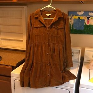 AE  corduroy dress